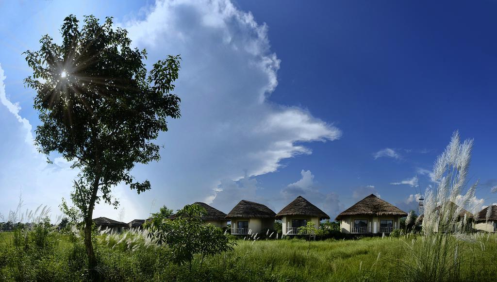 บาราฮี จังเกิ้ล ลอดจ์ Hotel Meghauli ภายนอก รูปภาพ