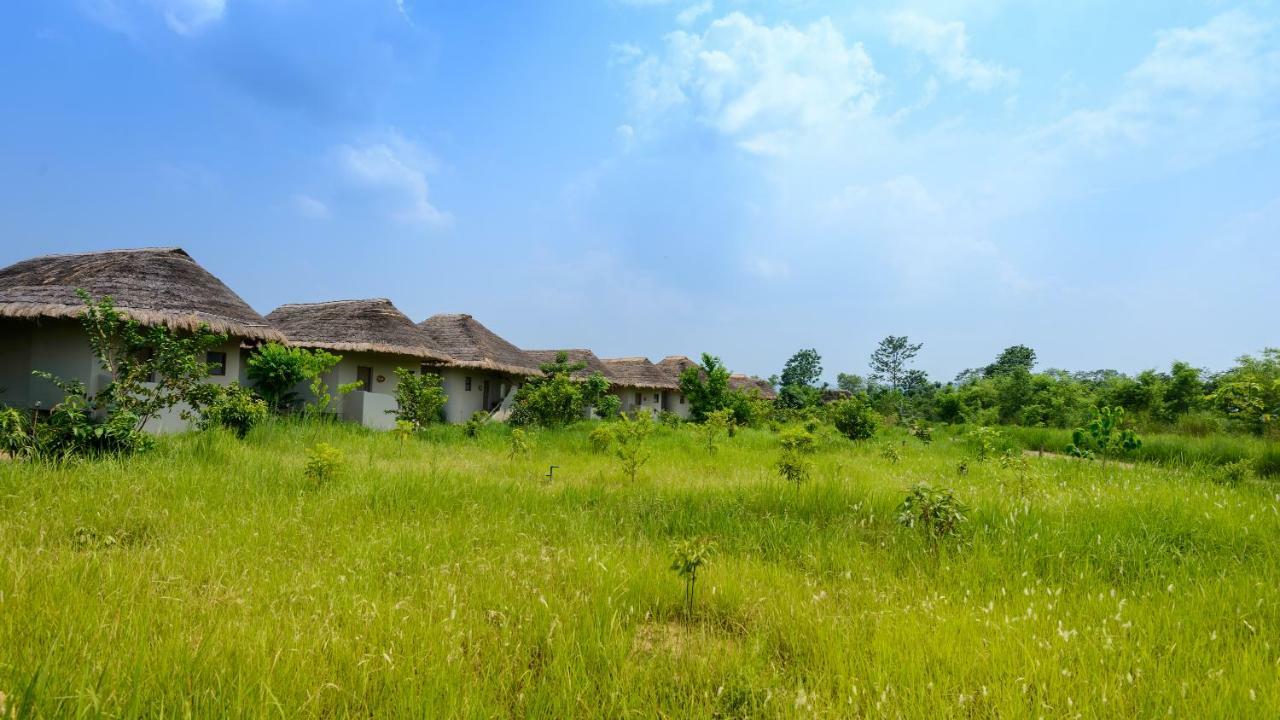 บาราฮี จังเกิ้ล ลอดจ์ Hotel Meghauli ภายนอก รูปภาพ