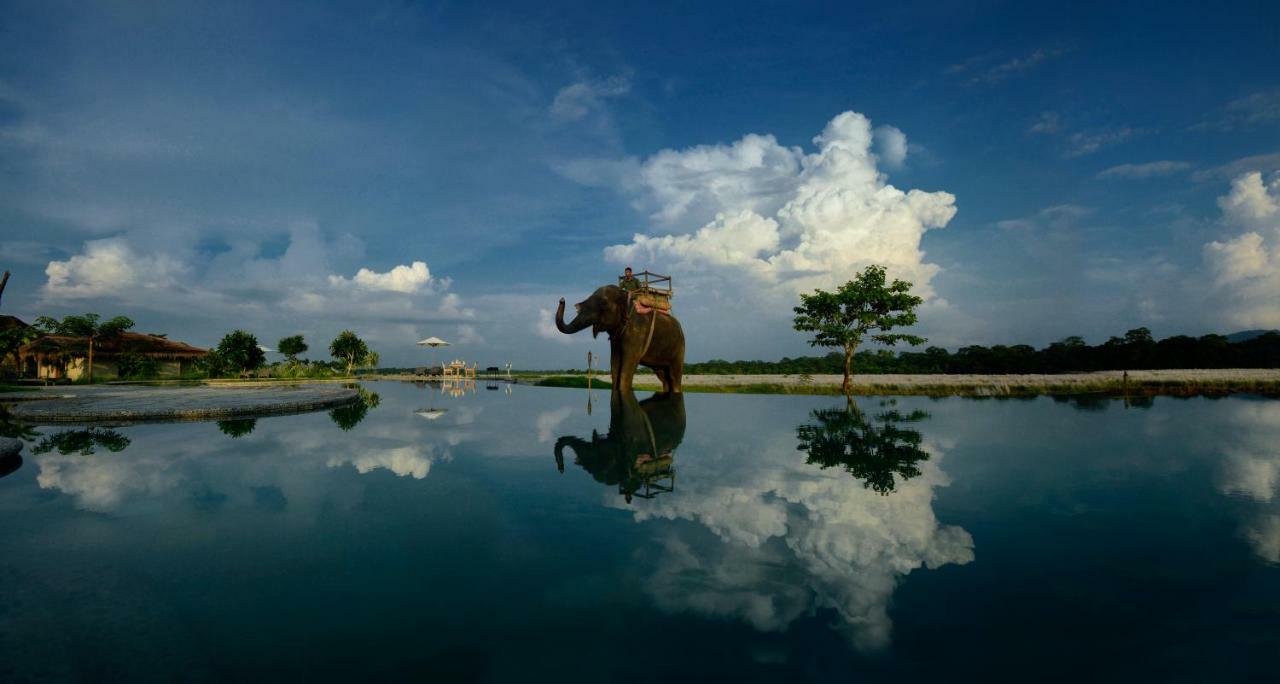 บาราฮี จังเกิ้ล ลอดจ์ Hotel Meghauli ภายนอก รูปภาพ